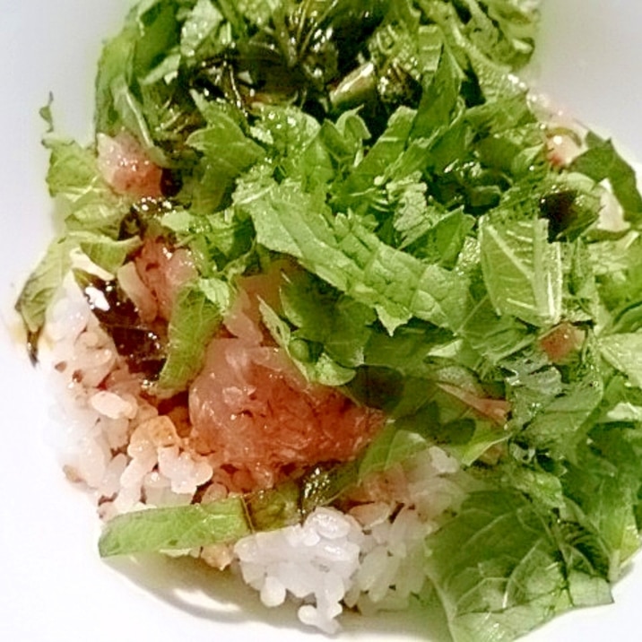 びんちょうマグロの大葉丼 レシピ 作り方 By こはる0514 楽天レシピ びんちょうマグロの大葉丼 レシピ 作り方 By こはる0514 楽天レシピ
